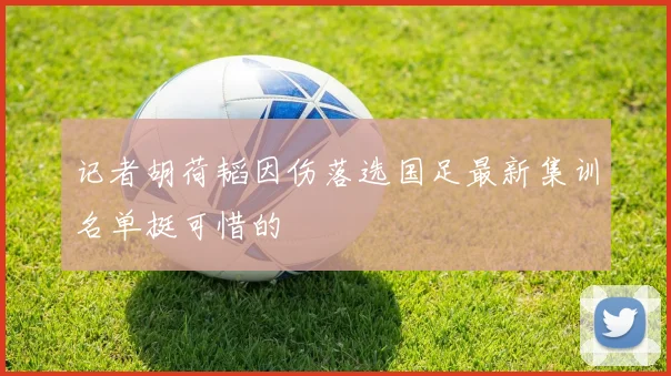 记者胡荷韬因伤落选国足最新集训名单挺可惜的